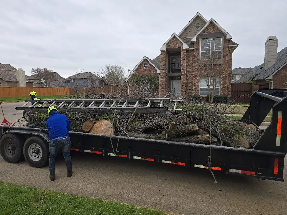 Expert Lot Clearing with proper safety equipment in Glenn
